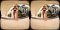Nikki Bless, Nichole Bless, Virtual Reality Video (8K)  Virtual Reality Photo Set, virtual reality video, female bodybuilder, female muscle, fbb, vr, muscular woman, Vintage Female Muscle, FTVideo 8k resolution, old school female bodybuilders